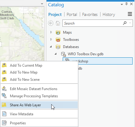 Share as a web layer Share as a web layer